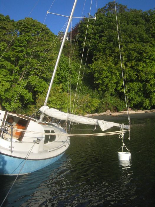 gal/2006-05-05 Careening/IMG_3114.jpg